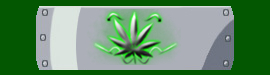 ViteFalcon.jpg