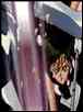 Meiou Setsuna image gallery