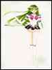 pictures of Sailor Pluto