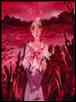 pictures of Sailor Pluto