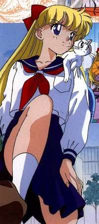 Minako Fox S Купить В Челябинске